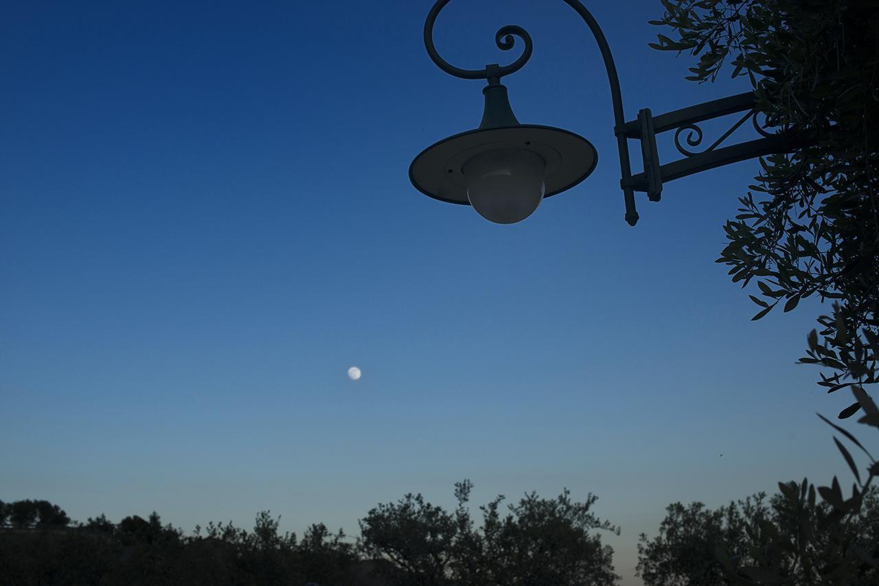Villa La Pianella Massarosa Exterior foto